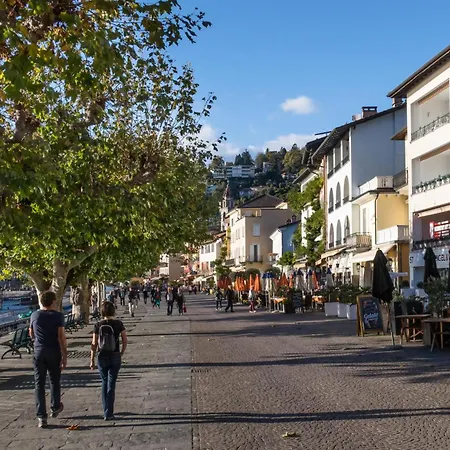 Charm - Happy * アスコナ